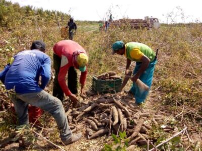 Maranhão lança Programa Tempo de Semear para agricultores familiares