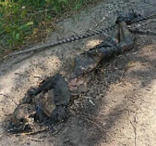 Corpo com mãos e pés amarrados é encontrado em estado avançado de decomposição em Paço do Lumiar