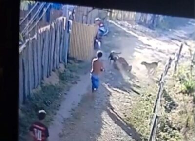 Homem é preso acusado de atirar em cachorro no interior do Maranhão