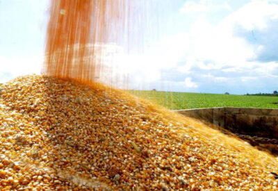 Mais de 80% da produção agrícola do Maranhão são de milho e soja, segundo estimativa da Conab