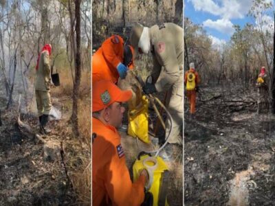 Ação de combate às queimadas avança em municípios maranhenses