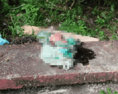 CRIME BRUTAL – São Luis Notícia