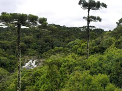 Sancionada lei que cria política nacional de visitação a parques ambientais