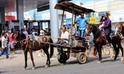 Setran entregará adesivos das carroças para a cavalgada nesta sexta-feira 05