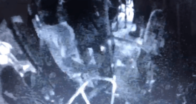 Divulgadas imagens do suspeito de matar passageiro de ônibus em São Luís