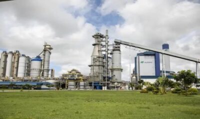 Suzano abre inscrições para o “Estágio Superior 2025” com vagas para Imperatriz e Região Tocantina