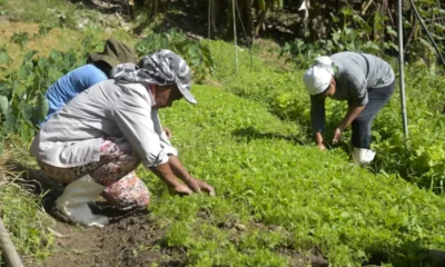 “Terra Para Elas” promove regularização fundiária para mulheres rurais quilombolas no Maranhão