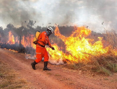 Brasil reduz focos de incêndio no 1º semestre, mas enfrenta previsão de seca severa