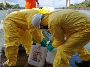 Empresa retira 20 litros dos 20 mil de agrotóxicos que caíram no rio Tocantins após queda de ponte
