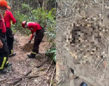 Quatro corpos são encontrados em área de mata em Itapecuru-Mirim