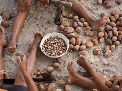 Defensoria do Maranhão levará cidadania e serviços a quebradeiras de coco