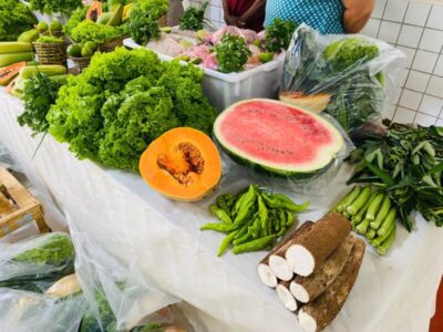 Prefeitura de São José de Ribamar entrega 5 toneladas de alimentos a famílias de estudantes