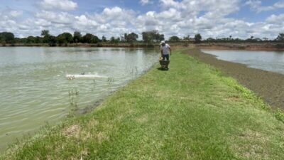 Prefeitura de Grajaú inicia cadastro de piscicultores e fortalece cadeia produtiva do pescado