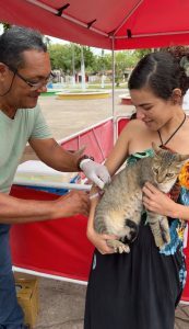 Prefeitura de Pinheiro promove Dia D da Vacinação Antirrábica