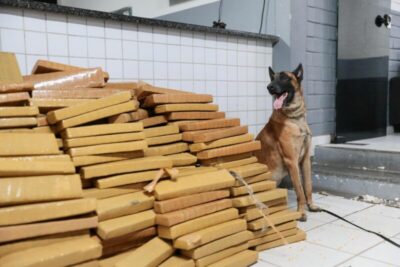 Operação Impacto apreende mais de uma tonelada de drogas em Paço do Lumiar