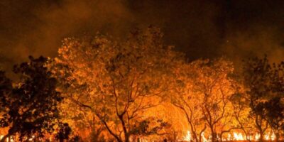 Estado de São Paulo está na semana de maior risco para incêndios