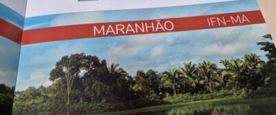 Maranhão tem mais da metade do território coberto por vegetação natural, segundo inventário florestal