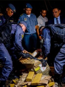 Polícia Militar apreende quase uma tonelada de maconha em operação na Grande Ilha
