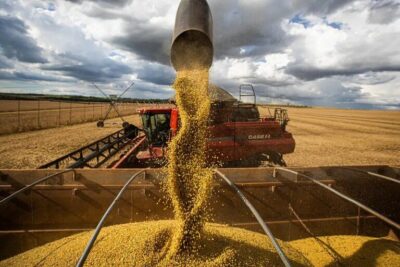 Maranhão amplia produção de grãos em 18,6% e ajuda a consolidar safra recorde