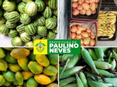 Prefeitura de Paulino Neves, realizou na sexta-feira (15) a última compra de alimentos por meio do Programa de Aquisição de Alimentos (PAA)