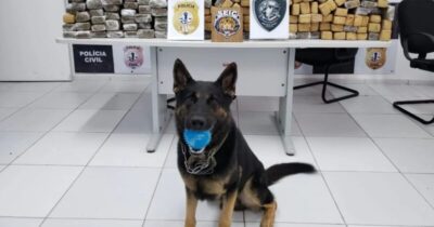Governo investe R$ 341 mil para compra de cães farejadores
