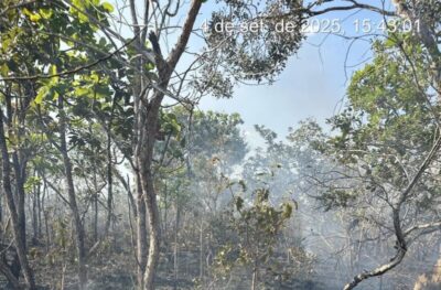 Bombeiros Militar controlam incêndio em vegetação no povoado Alto do Bebedouro, em Itapecuru Mirim