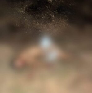 Corpo de homem com marcas de tortura é encontrado no Gapara, em São Luís