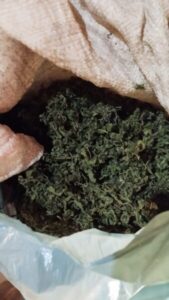 Tráfico de drogas em Terra Indígena no Maranhão é alvo de investigação