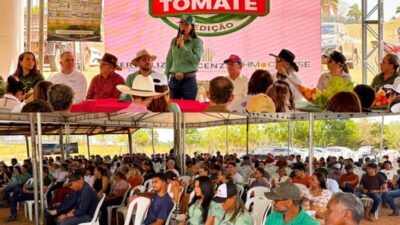 Dia D da Cultura do tomate