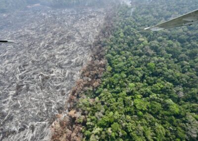 Amazônia perde área equivalente ao território da França em 40 anos, com 52 milhões de hectares perdidos