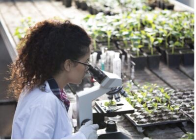 Sudene divulga resultado da primeira fase de edital voltado para jovens