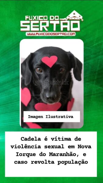 Foto: Reprodução