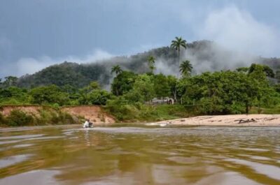 Fapema investe mais de R$ 700 mil em pesquisas voltadas à Amazônia