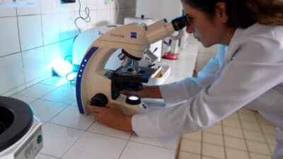 Bolsas Produtividade da Fapema passam a ter selo CNPq e destacam pesquisadores do Maranhão