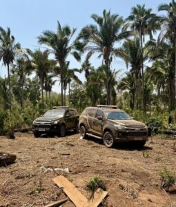Polícia Federal deflagra operação piaçava na terra indígena Bacurizinho, em Grajaú