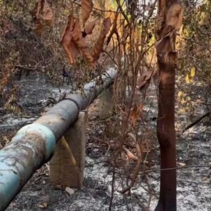 Incêndio queima parte de adutora da CAEMA e provoca paralisação de abastecimento em Humberto de Campos