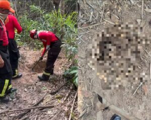 Quatro corpos são encontrados em área de mata em Itapecuru-Mirim