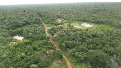 Mais da metade do Maranhão ainda possui cobertura de vegetação nativa, aponta inventário florestal