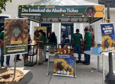 Agência Marandu comemora o Dia Estadual da Abelha Tiúba