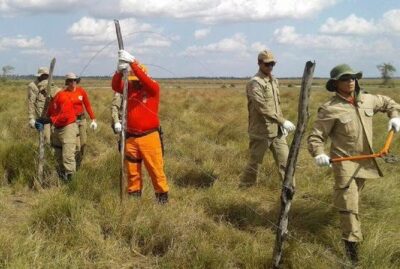 Professor de Viana denuncia avanço de cercas elétricas nas cidades da Baixada Maranhense