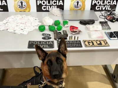 EM IMPERATRIZ, POLÍCIA CIVIL APREENDE COCAÍNA, ARMA DE FOGO E MUNIÇÕES DURANTE “OPERAÇÃO CAPTURA”