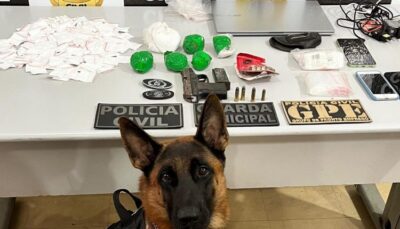 Operação apreende 750 g de cocaína, arma e munições em Imperatriz