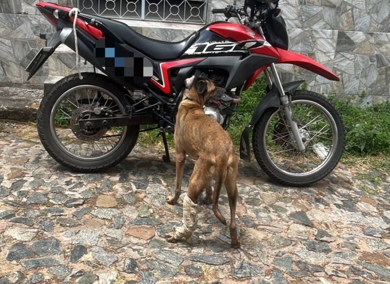 Foto: Reprodução