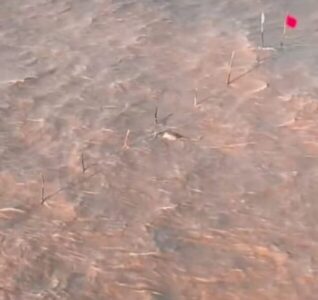 BBMar resgata corpo preso em rede de pesca na Ilha do Caranguejo