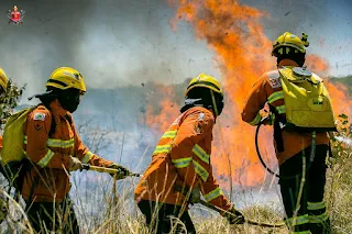 Incêndios em vegetação no Distrito Federal: teve uma queda de 49,44% na extensão das áreas atingidas até 2025