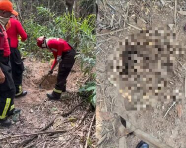 Corpos empilhados são encontrados em área de mata em Itapecuru-Mirim no Maranhão