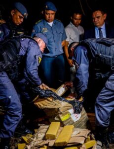Operação Impacto: PM apreende quase uma tonelada de maconha em Paço do Lumiar