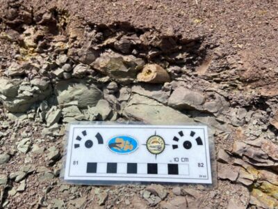Fósseis do dinossauro mais conhecido do Brasil podem estar no Maranhão
