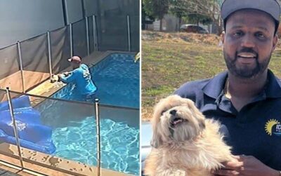 Piscineiro salva cachorro cego de afogamento em piscina de casa em Goiânia