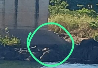 Corpo de uma mulher foi encontrado nas proximidades da ponte ferroviária, em Estreito-MA.